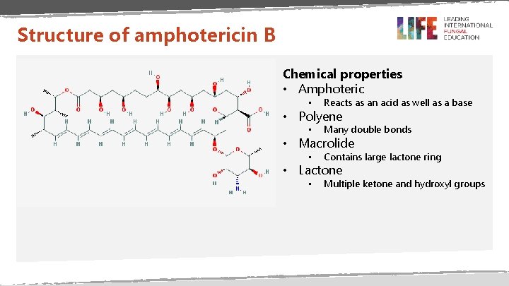 Structure of amphotericin B Chemical properties • Amphoteric • Reacts as an acid as