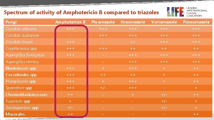 Spectrum of activity of Amphotericin B compared to triazoles Fungi Amphotericin B Fluconazole Itraconazole