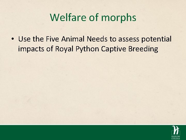 Welfare of morphs • Use the Five Animal Needs to assess potential impacts of