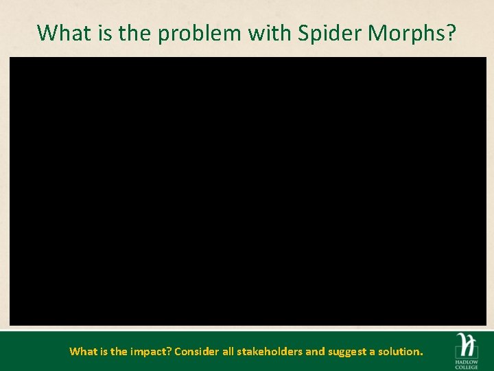 What is the problem with Spider Morphs? What is the impact? Consider all stakeholders