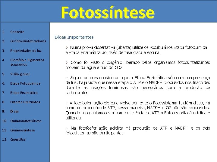 Fotossíntese 1. Conceito 2. Os fotossintetizadores 3. Propriedades da luz 4. Clorofila e Pigmentos