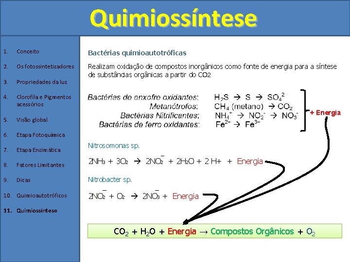 Quimiossíntese 1. Conceito Bactérias quimioautotróficas 2. Os fotossintetizadores 3. Propriedades da luz Realizam oxidação