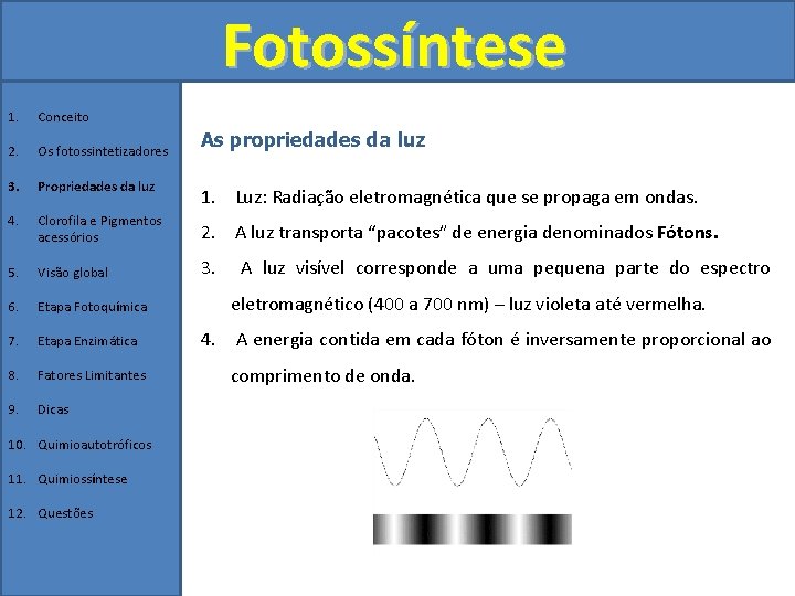 Fotossíntese 1. Conceito 2. Os fotossintetizadores 3. Propriedades da luz 4. Clorofila e Pigmentos