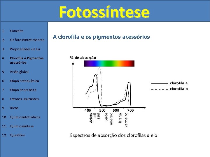 Fotossíntese 1. Conceito 2. Os fotossintetizadores 3. Propriedades da luz 4. Clorofila e Pigmentos