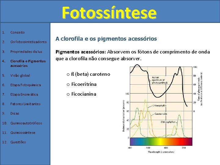 Fotossíntese 1. Conceito 2. Os fotossintetizadores 3. Propriedades da luz 4. Clorofila e Pigmentos