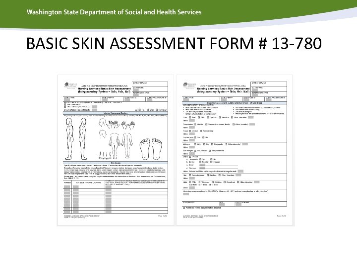 BASIC SKIN ASSESSMENT FORM # 13 -780 