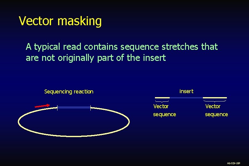 Vector masking A typical read contains sequence stretches that are not originally part of