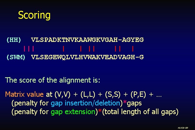 Scoring (HH) VLSPADKTNVKAAWGKVGAH-AGYEG ||| | | || || | (SWM) VLSEGEWQLVLHVWAKVEADVAGH-G The score of