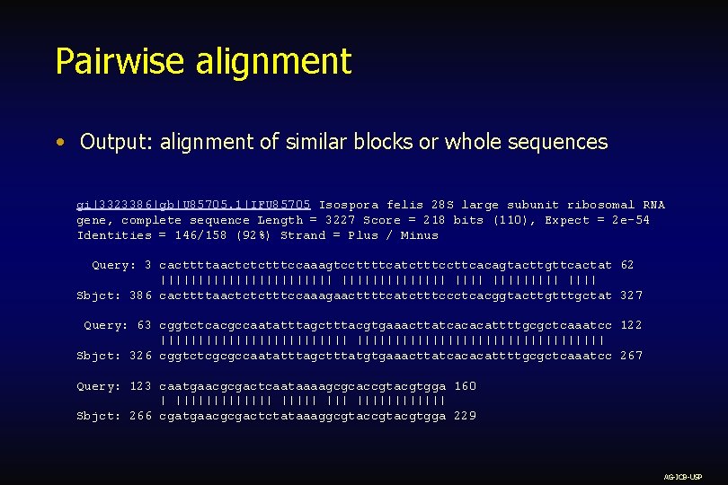 Pairwise alignment • Output: alignment of similar blocks or whole sequences gi|3323386|gb|U 85705. 1|IFU