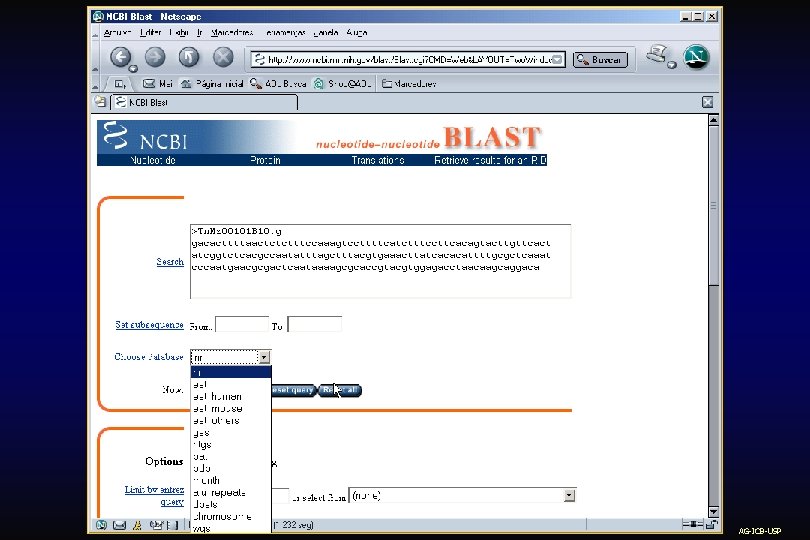 AG-ICB-USP 