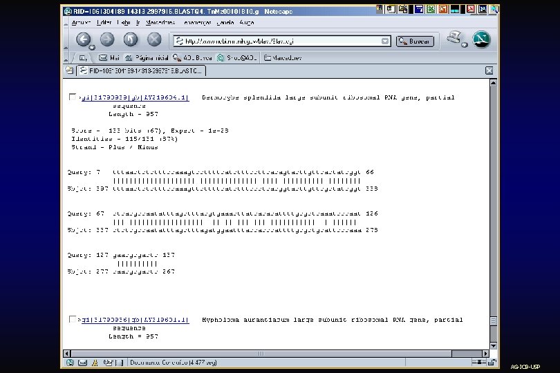 AG-ICB-USP 