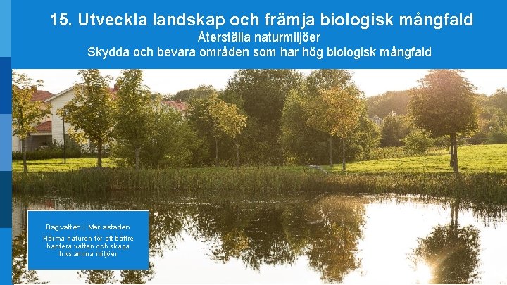 15. Utveckla landskap och främja biologisk mångfald Återställa naturmiljöer Skydda och bevara områden som