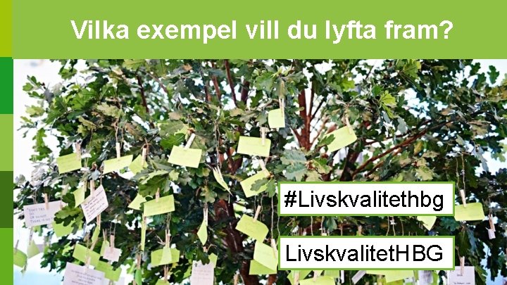 Vilka exempel vill du lyfta fram? #Livskvalitethbg Livskvalitet. HBG 2022 -01 -26 Livskvalitet 