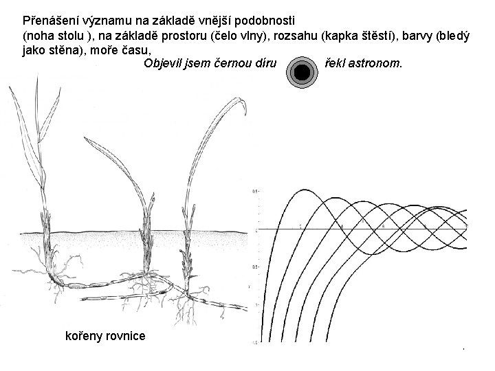 Přenášení významu na základě vnější podobnosti (noha stolu ), na základě prostoru (čelo vlny),