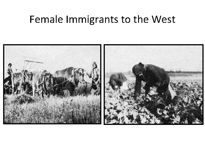 Female Immigrants to the West 