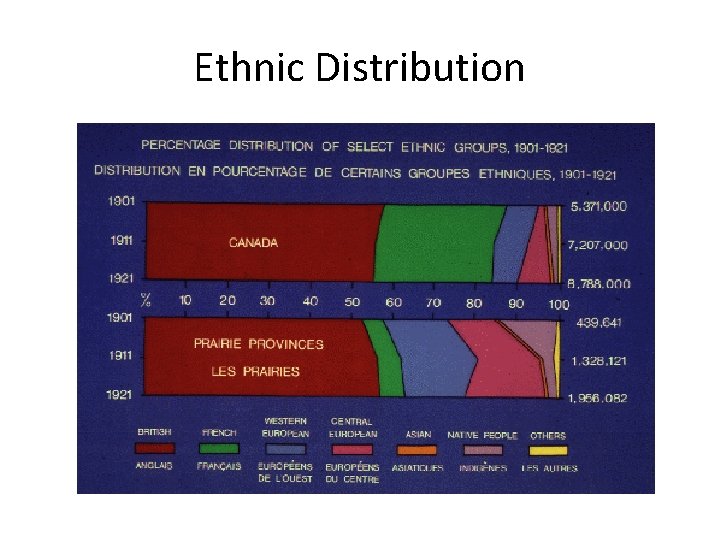 Ethnic Distribution 