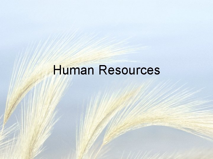 Human Resources 