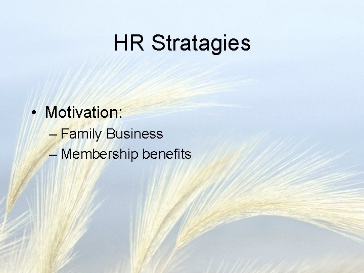 HR Stratagies • Motivation: – Family Business – Membership benefits 