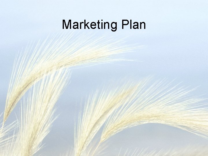 Marketing Plan 