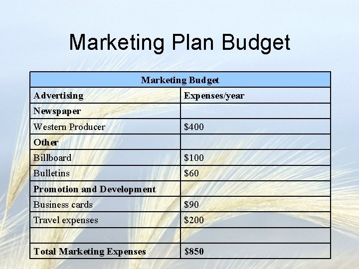 Marketing Plan Budget Marketing Budget Advertising Expenses/year Newspaper Western Producer $400 Other Billboard $100