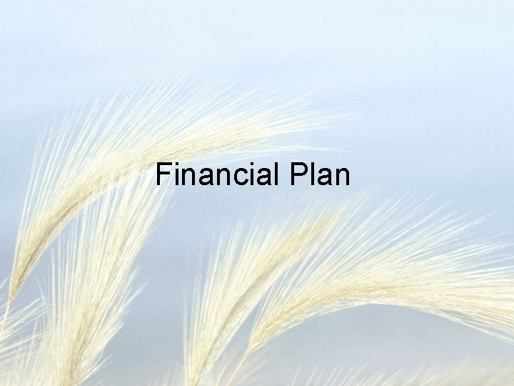 Financial Plan 