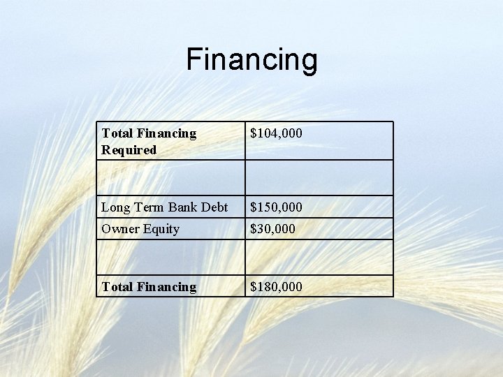 Financing Total Financing Required $104, 000 Long Term Bank Debt $150, 000 Owner Equity