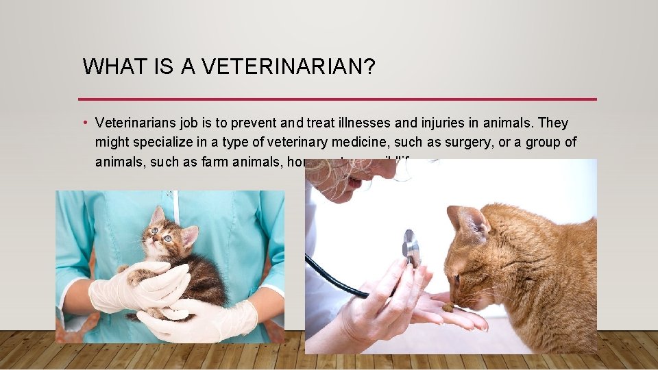 WHAT IS A VETERINARIAN? • Veterinarians job is to prevent and treat illnesses and