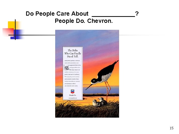 Do People Care About _______? People Do. Chevron. 15 