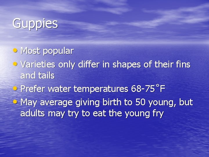 Guppies • Most popular • Varieties only differ in shapes of their fins and
