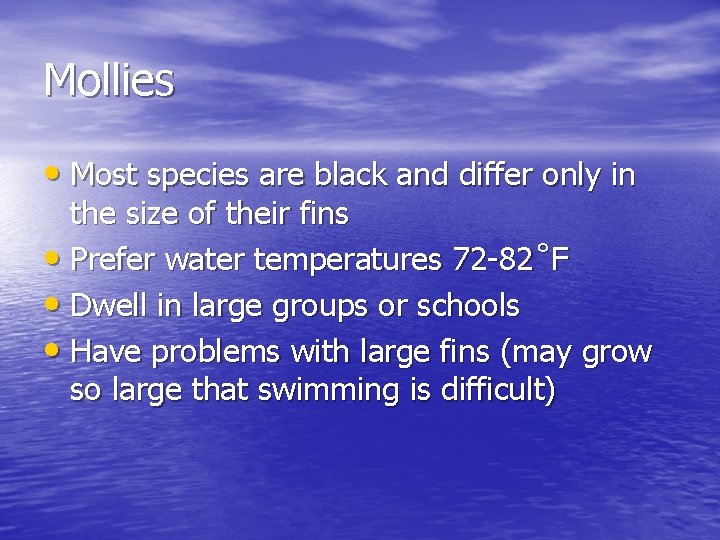 Mollies • Most species are black and differ only in the size of their