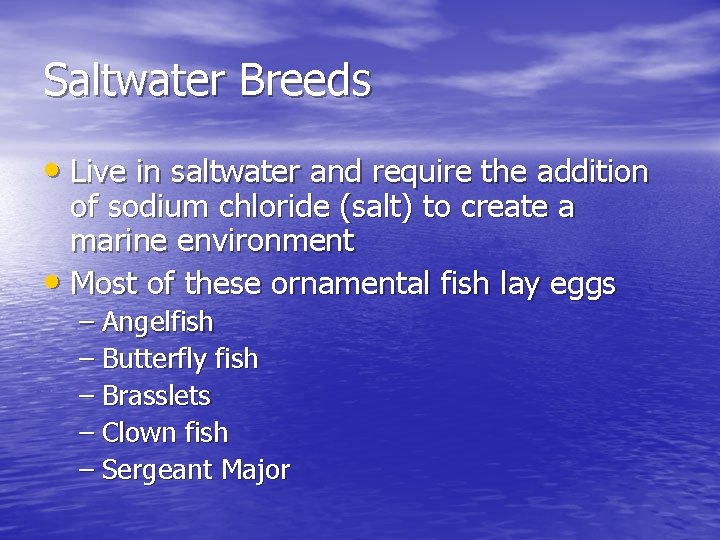 Saltwater Breeds • Live in saltwater and require the addition of sodium chloride (salt)