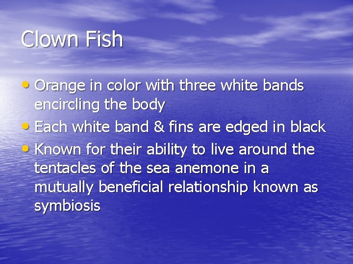 Clown Fish • Orange in color with three white bands encircling the body •