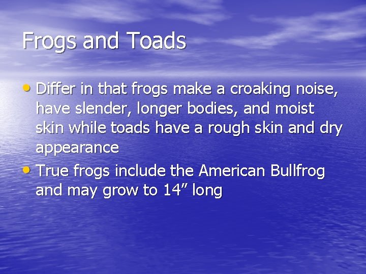 Frogs and Toads • Differ in that frogs make a croaking noise, have slender,