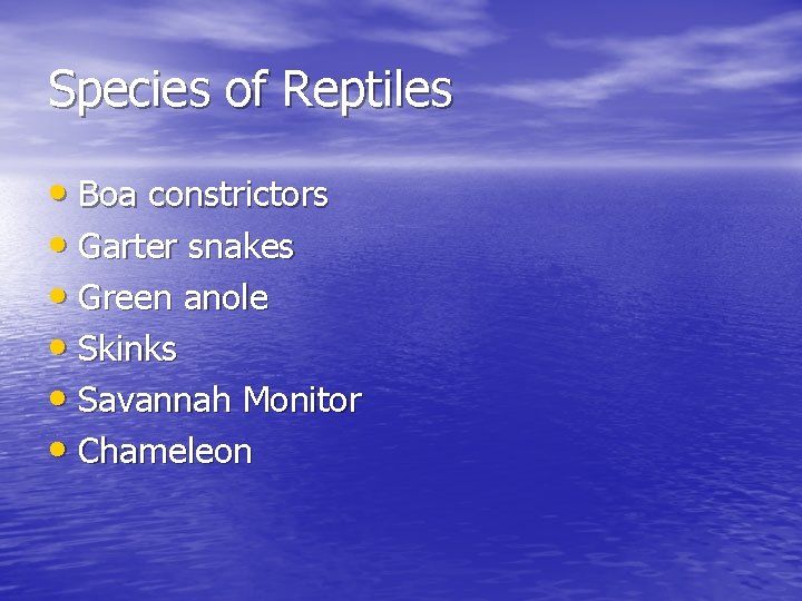 Species of Reptiles • Boa constrictors • Garter snakes • Green anole • Skinks