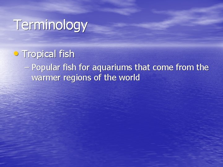 Terminology • Tropical fish – Popular fish for aquariums that come from the warmer