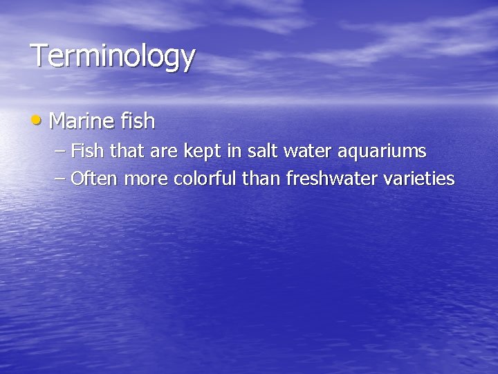 Terminology • Marine fish – Fish that are kept in salt water aquariums –