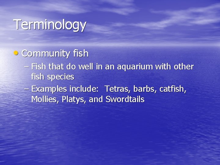 Terminology • Community fish – Fish that do well in an aquarium with other