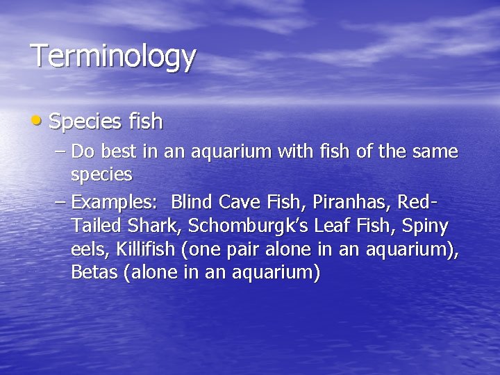 Terminology • Species fish – Do best in an aquarium with fish of the