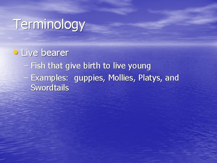 Terminology • Live bearer – Fish that give birth to live young – Examples: