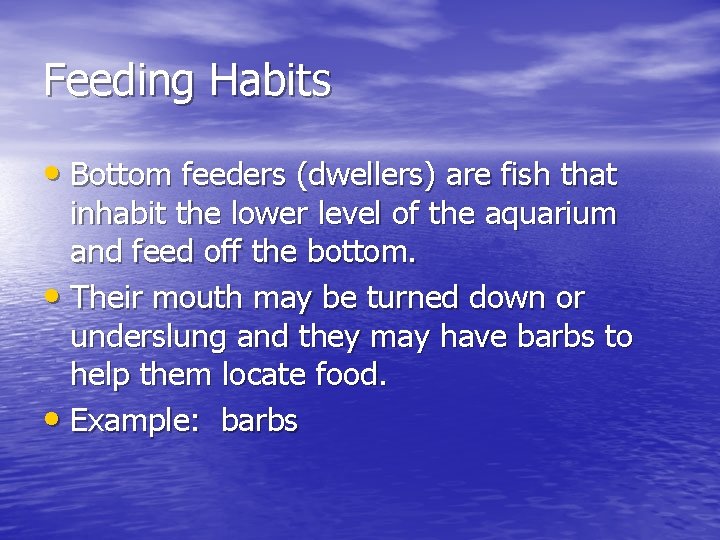 Feeding Habits • Bottom feeders (dwellers) are fish that inhabit the lower level of
