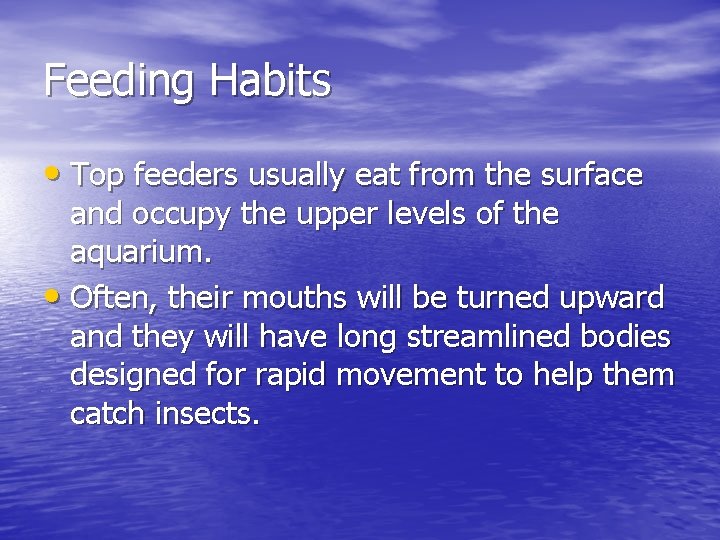 Feeding Habits • Top feeders usually eat from the surface and occupy the upper