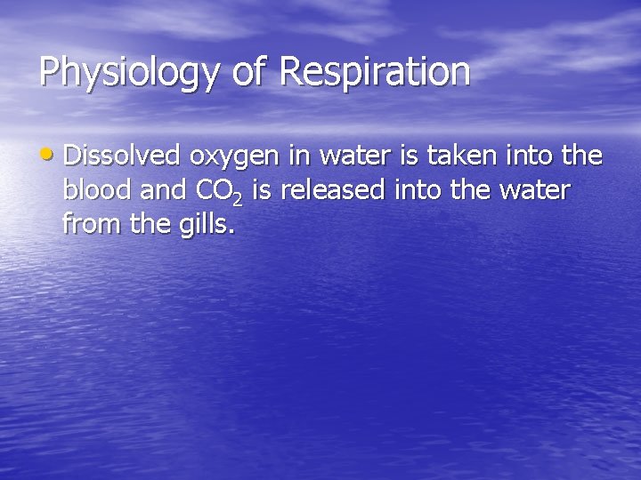 Physiology of Respiration • Dissolved oxygen in water is taken into the blood and