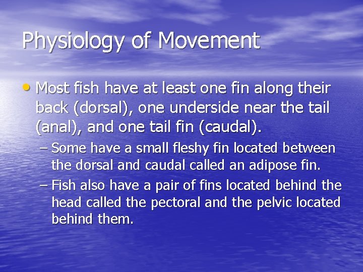 Physiology of Movement • Most fish have at least one fin along their back