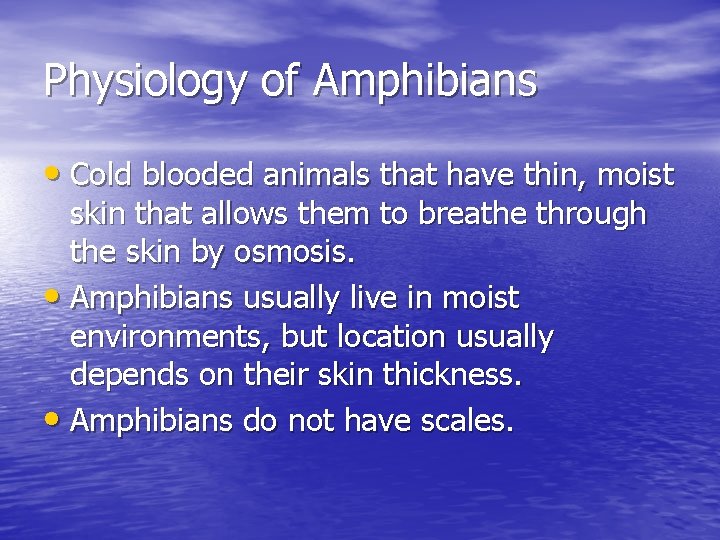 Physiology of Amphibians • Cold blooded animals that have thin, moist skin that allows