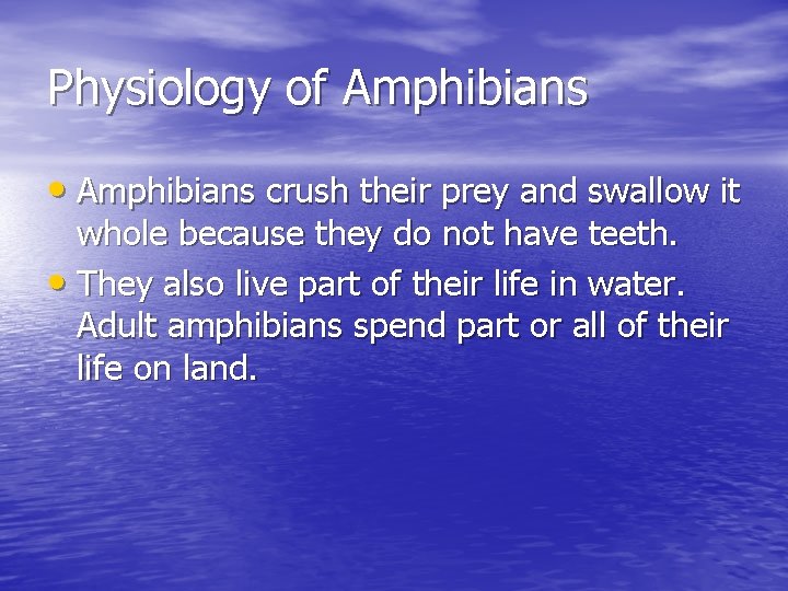 Physiology of Amphibians • Amphibians crush their prey and swallow it whole because they