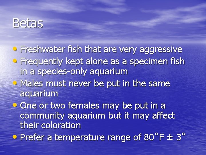 Betas • Freshwater fish that are very aggressive • Frequently kept alone as a