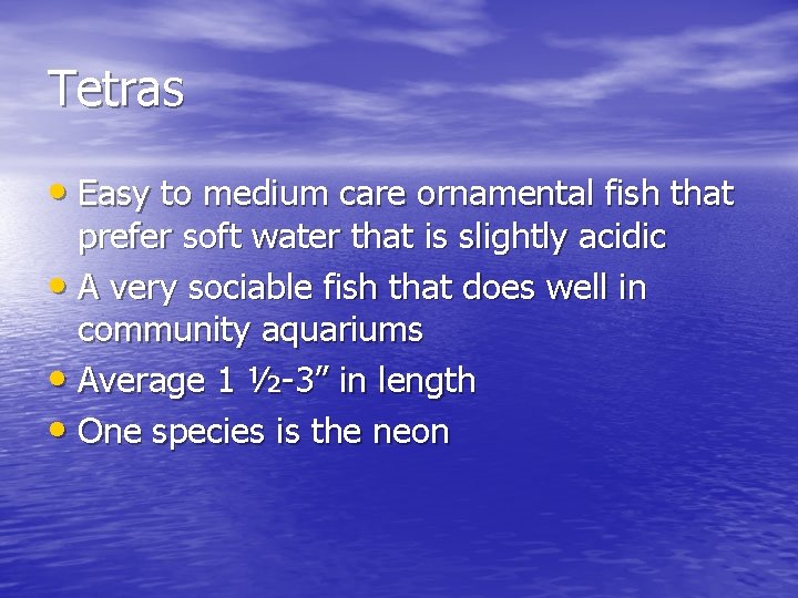 Tetras • Easy to medium care ornamental fish that prefer soft water that is