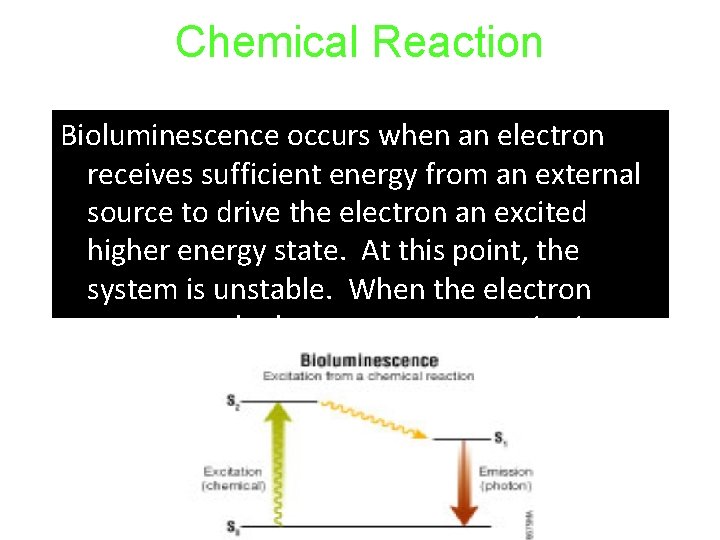 Chemical Reaction Bioluminescence occurs when an electron Click to edit the outline receives sufficient