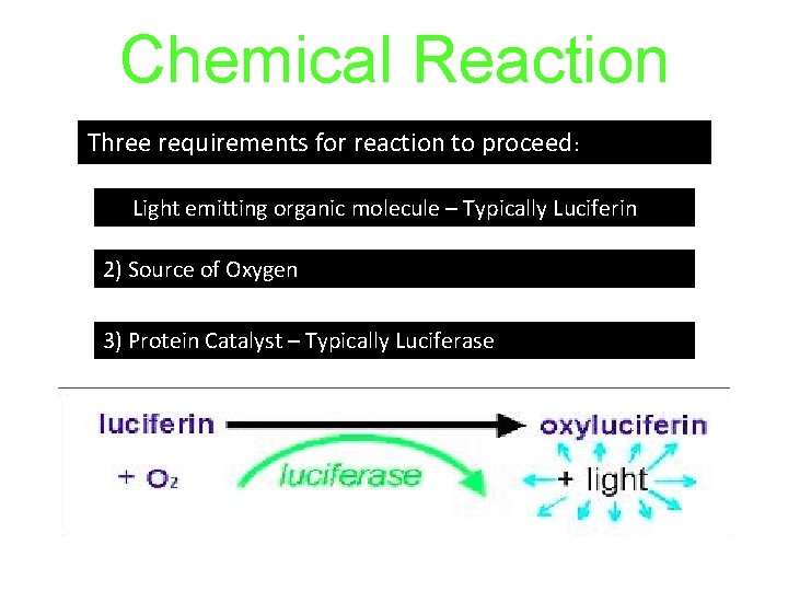 Chemical Reaction Three requirements for reaction to proceed: 1) Light emitting organic molecule –