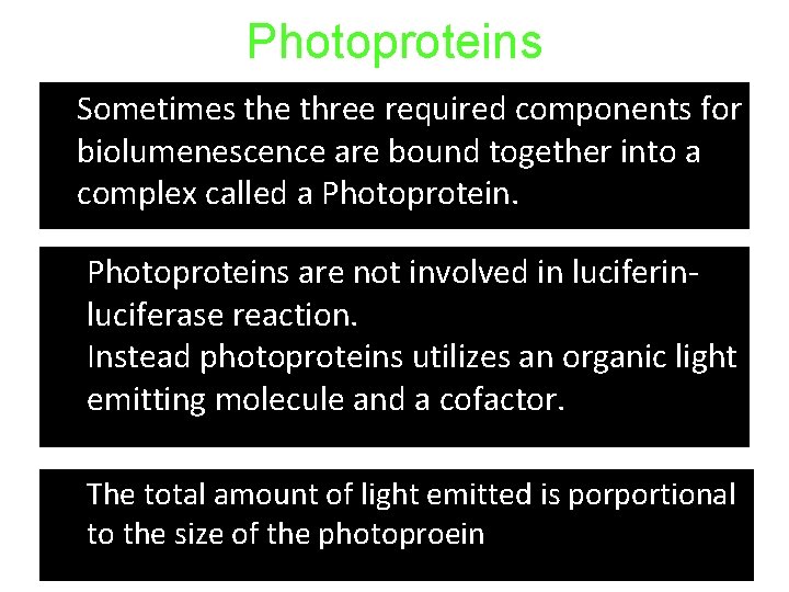Photoproteins • • Sometimes the three required components for biolumenescence are bound together into